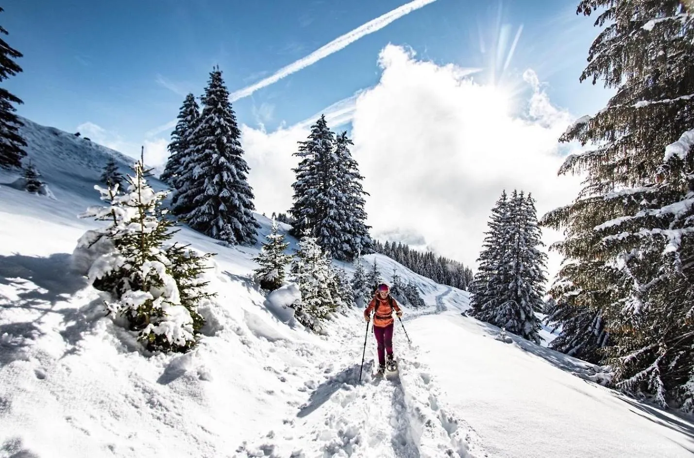 Chalet De L'Oy Oy9 Nature & Mountain 4 Pers Chatel